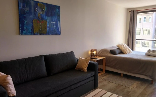 Apt Centro Bariloche Cochera Incluida I