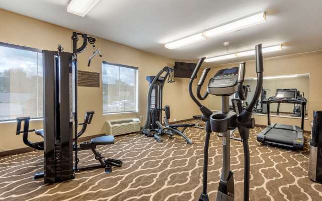 Comfort Inn Apalachin / Binghamton W Route 17