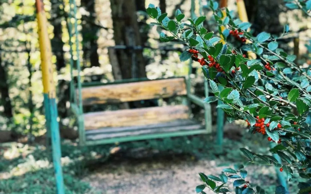 Nunisi Forest Hotel & SPA