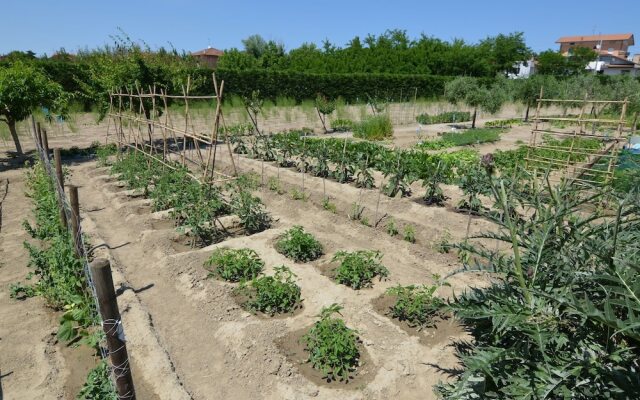 Holiday Home Near the Beaches
