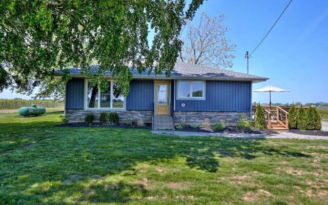 Niagara Vineyard Contemporary