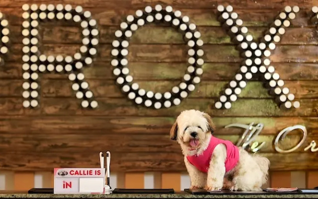 PROXY by The Oriental Albay