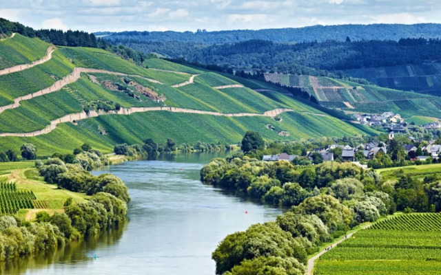 Holiday Home Moselle Valley