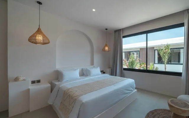 Nova Oasis 1
