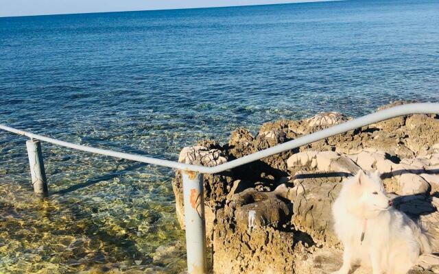 Nata a - A4(4) in Umag