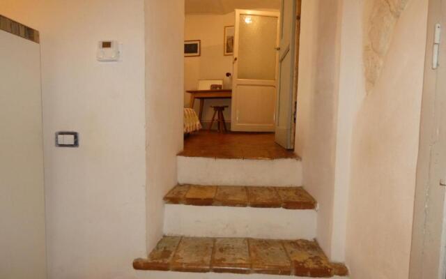 SCAPPO IN UMBRIA, nido cruxburgi