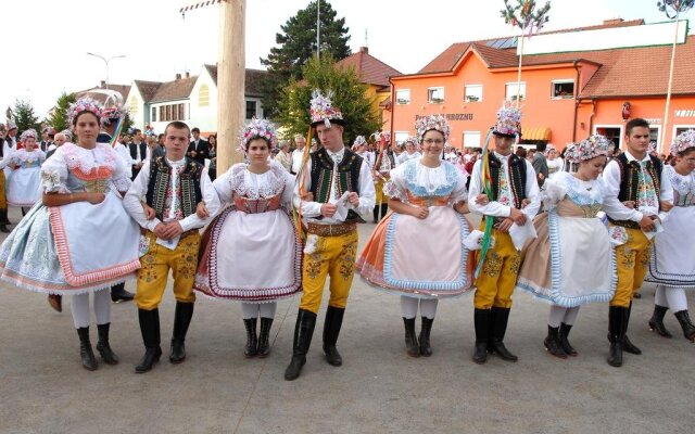 Penzion a restaurace U Hroznu