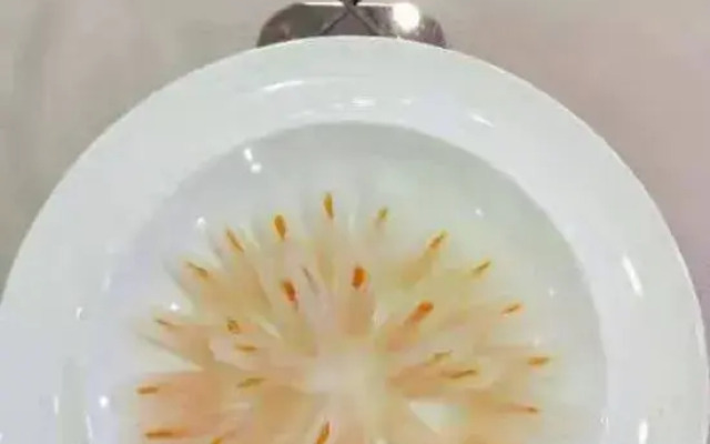 Yuanhe Hotel