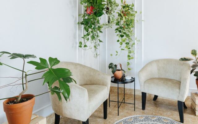 Ivy Luxury Hotel & Apartment