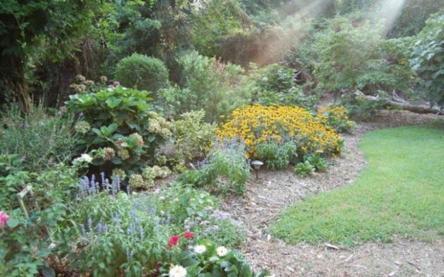 Island House of Wanchese