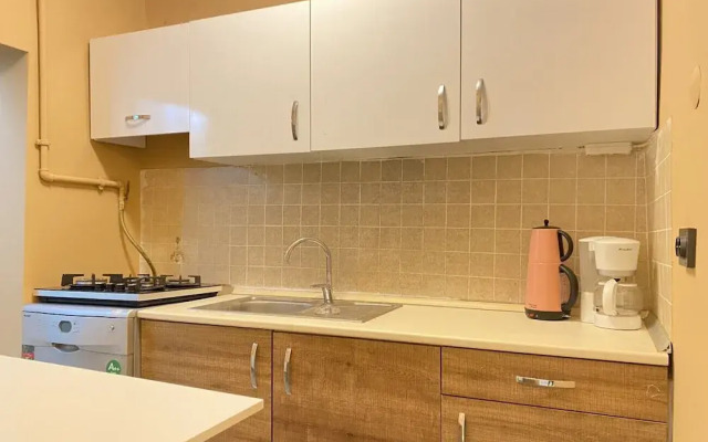 Lovely Home With Backyard in Cihangir