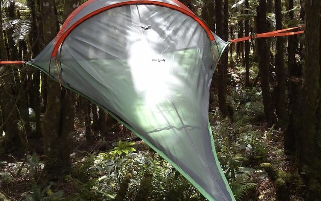 Pupu Rangi Nature Sanctuary - Conservation Area