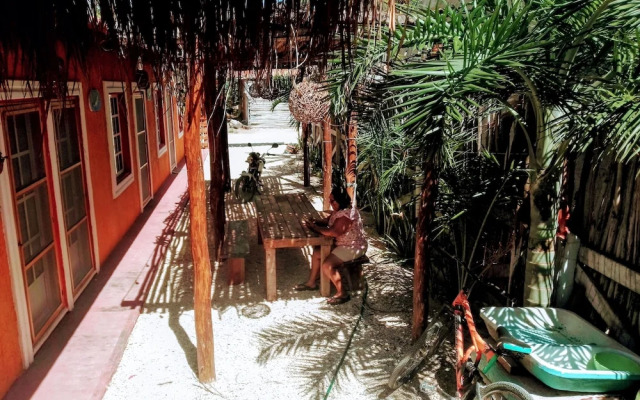 Tribe Beachville