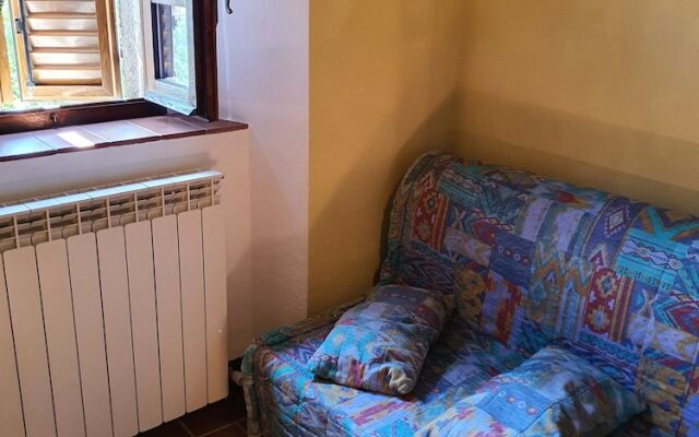 - Agriturismo La Piaggia - Forest View Apartment on the Ground Floor 2 Guests