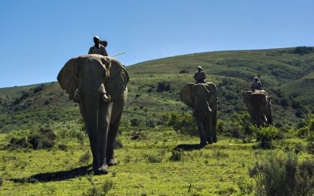 Elephants Lodge - Bellevue Forest Reserve