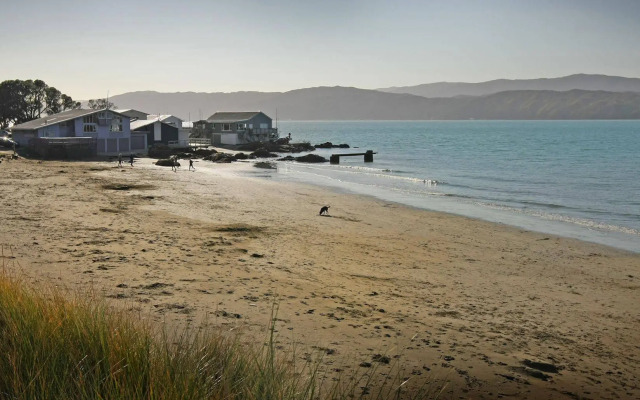 Beachfront Wellington Bed and Breakfast