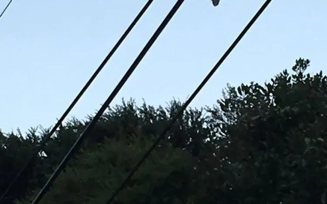 Palm Beach Bungalows