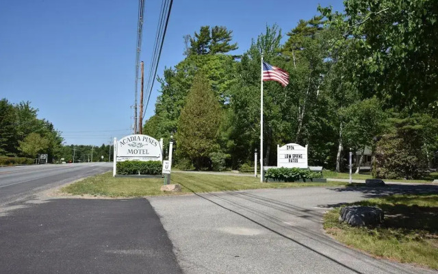 Acadia Pines Motel