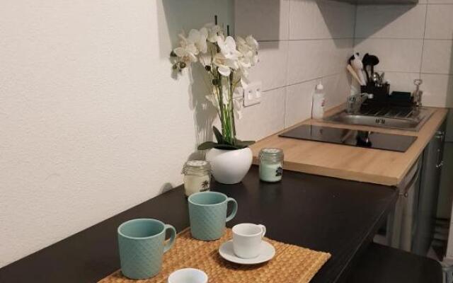 Modern Studio In The Centre Of Avignon