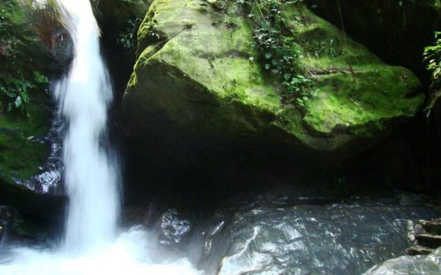 Paraiso Rainforest and Beach Hotel