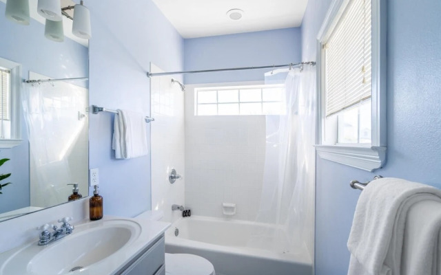 Ocean View - Blue Jay