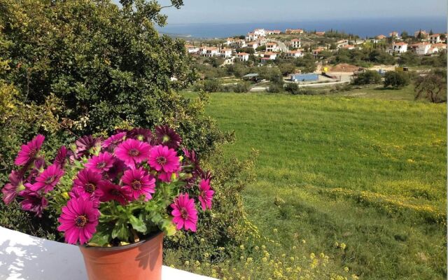 1 Bedroom Apartment Amazing View of Pissouri Bay