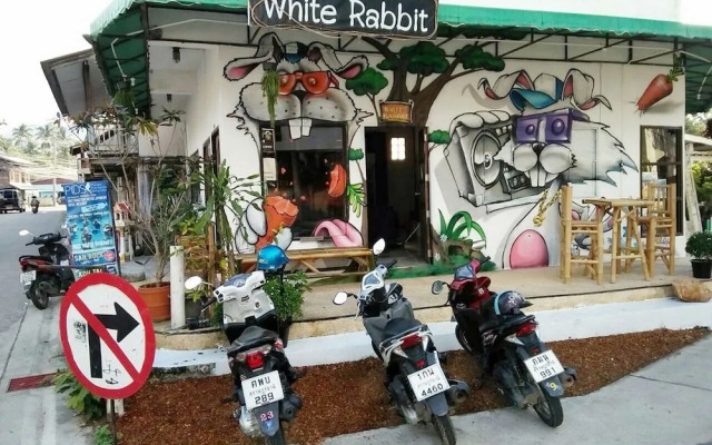 White Rabbit - Hostel