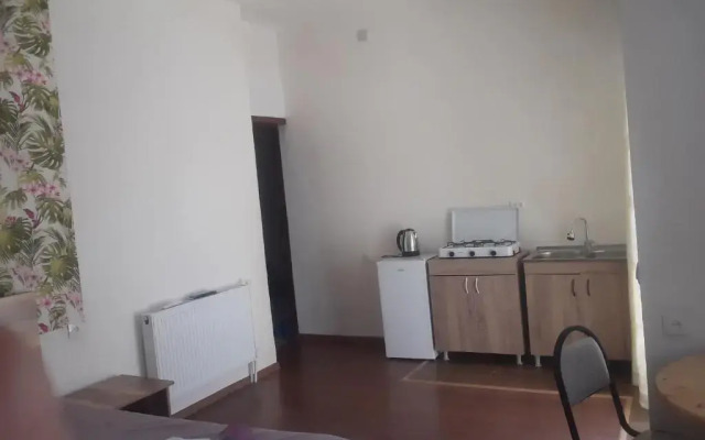 Guest House Buche on Agmashenebeli 219