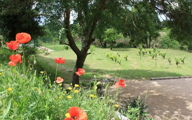 Domaine de "Creva-Tinas"
