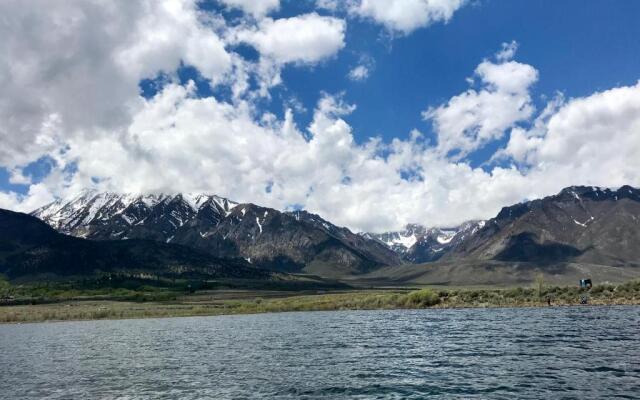 Mountainback #59 dog friendly