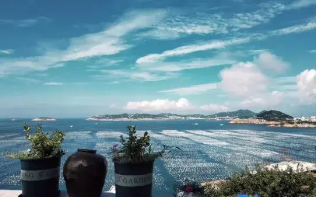 Shengsi wolfberry Shengshan Island Youth Hostel