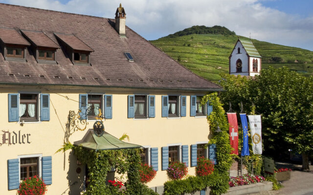 Schwarzer Adler