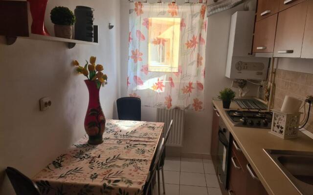 Luxury Mall Apartment 9