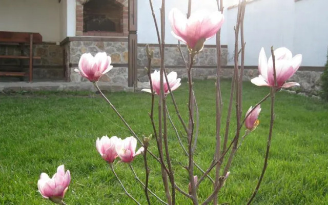 Guesthouse Trite Kambani