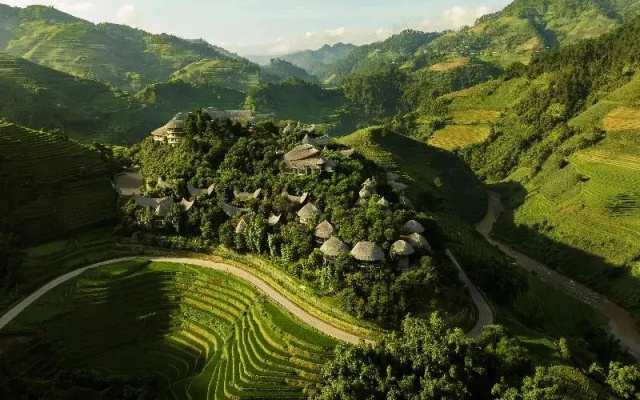 Garrya Mu Cang Chai