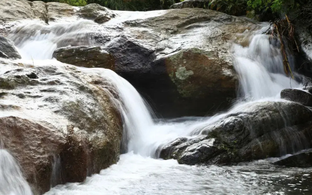 Sandalu Kithulgala