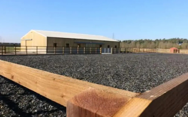 Host Stay Redwings Sanctuary Rooms