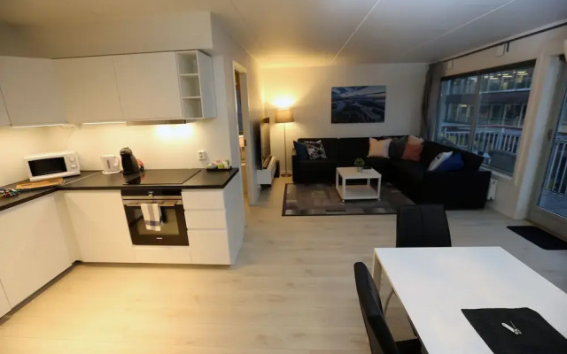 Sentral 3 roms top leilighet med gratis parkering