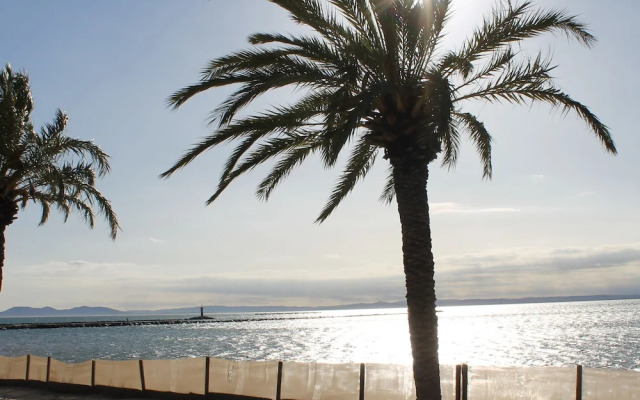 Pi Sunyer 4 1A in Roses