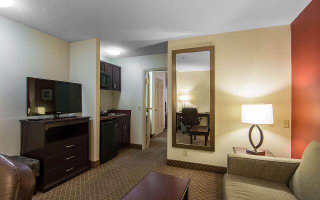 Comfort Inn & Suites Airport South