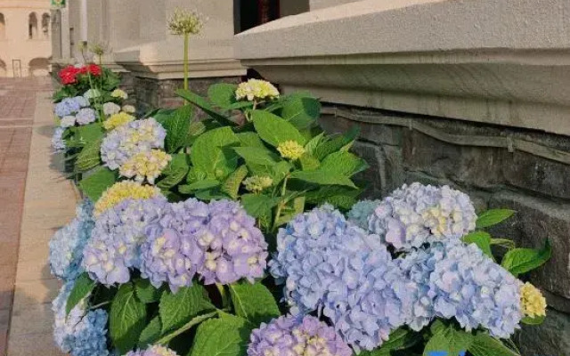 Longhai Kadakesi Cape Holiday Apartment One