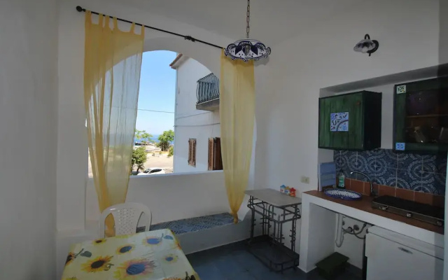 Cannella Studio