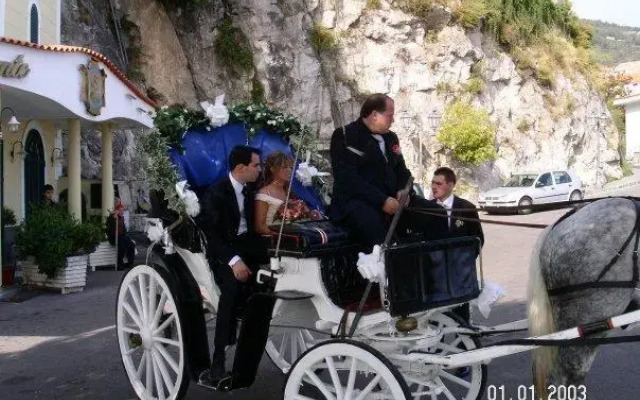 Vecchio West
