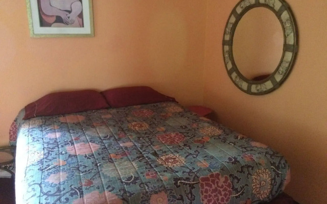 Hedonisia Hawaii Eco-Hostel Community