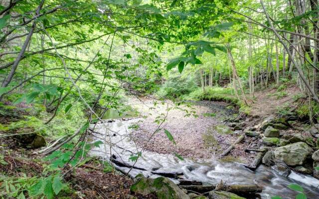 Le Panaché-Chalet à louer Stoneham