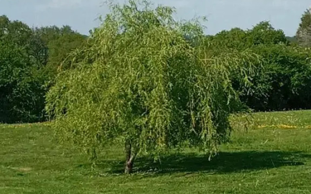 Chez Gondat Chambre d'hotes
