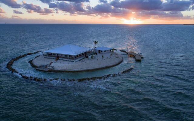 Friendsgiving Island