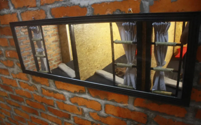 THE BUNK BACKPACKERS HOSTEL by fleur