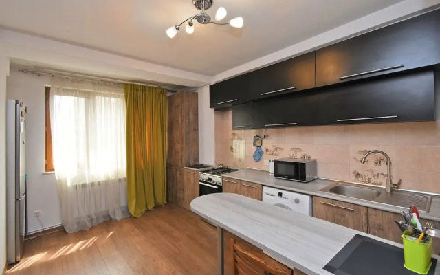 Sunny apartment on Pushkin street