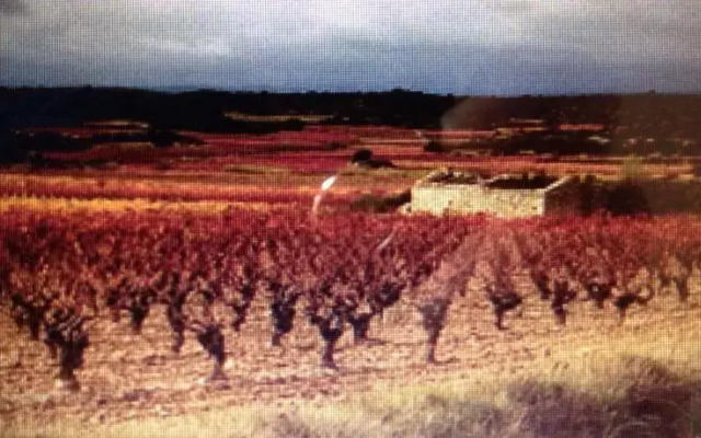 3 Grand Rue Ginestas